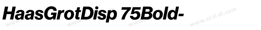HaasGrotDisp 75Bold字体转换